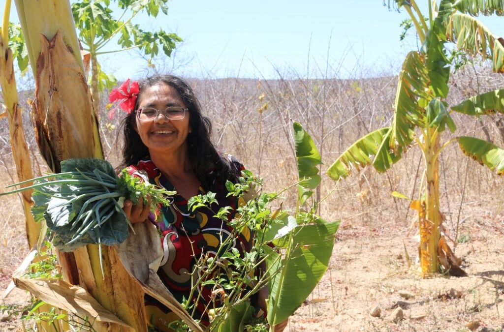 O FABULOSO QUINTAL DE DONA BIA