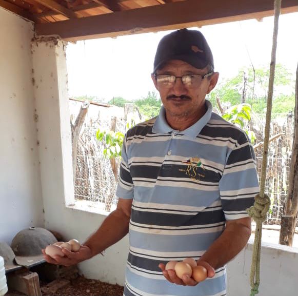 AVICULTURA É PRÁTICA RENTÁVEL PARA AGRICULTORES DURANTE A PANDEMIA