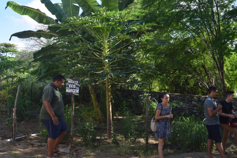 PRODUÇÕES AGROECOLÓGICAS E O CUIDADO COM A CASA COMUM￼