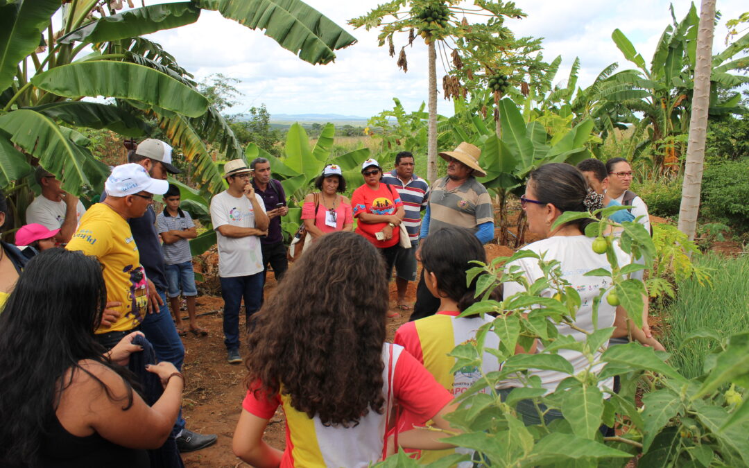 DEFESA DO TERRITÓRIO E DA VIDA É EXEMPLO DA ORGANIZAÇÃO DAS COMUNIDADES DE IPAPORANGA CONTRA EXPLORAÇÃO MINERAL