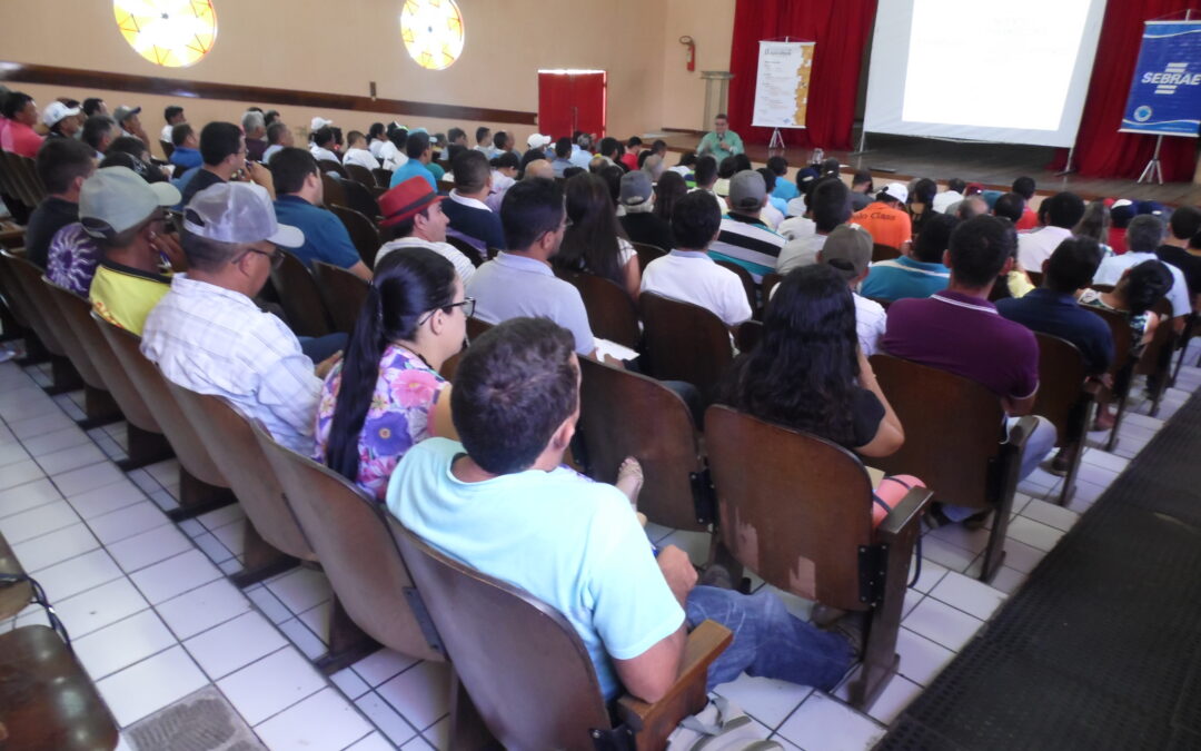 FEIRA DA AGRICULTURA FAMILIAR PROMOVE FORMAÇÃO E TROCA DE EXPERIÊNCIAS