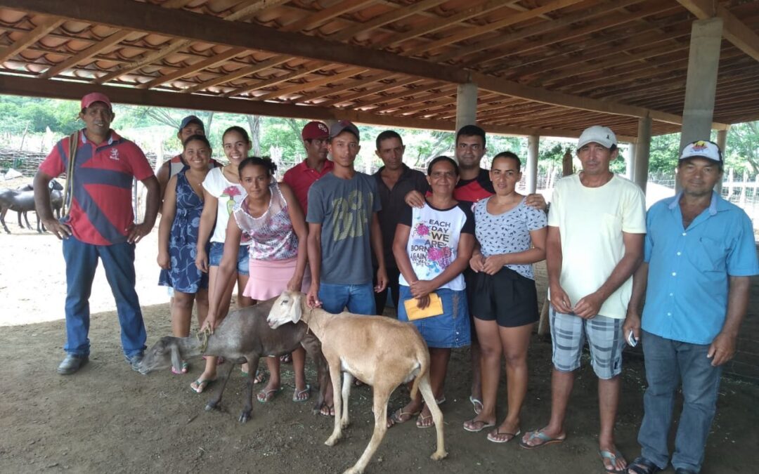 FORTALECENDO COMUNIDADES RURAIS: FAMÍLIAS DE ARNEIROZ, TAUÁ E PARAMBU RECEBEM MATRIZES OVINAS E CAPRINAS