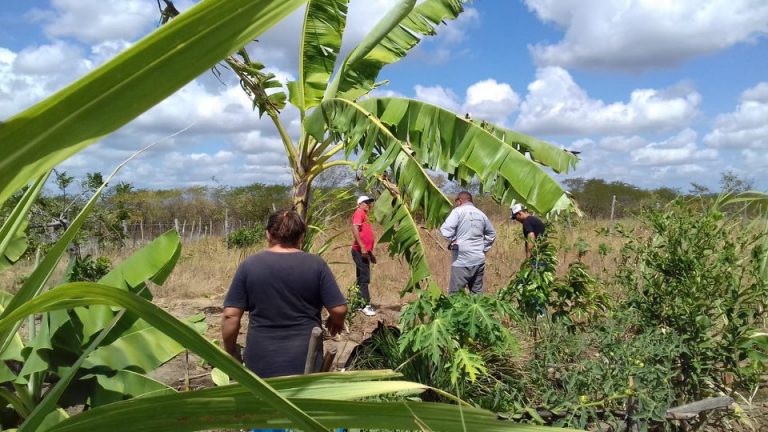 FEIRA DA AGRICULTURA FAMILIAR INSPIRA E EMOCIONA COM INTERCÂMBIOS DE EXPERIÊNCIAS NO SEMIÁRIDO BRASILEIRO